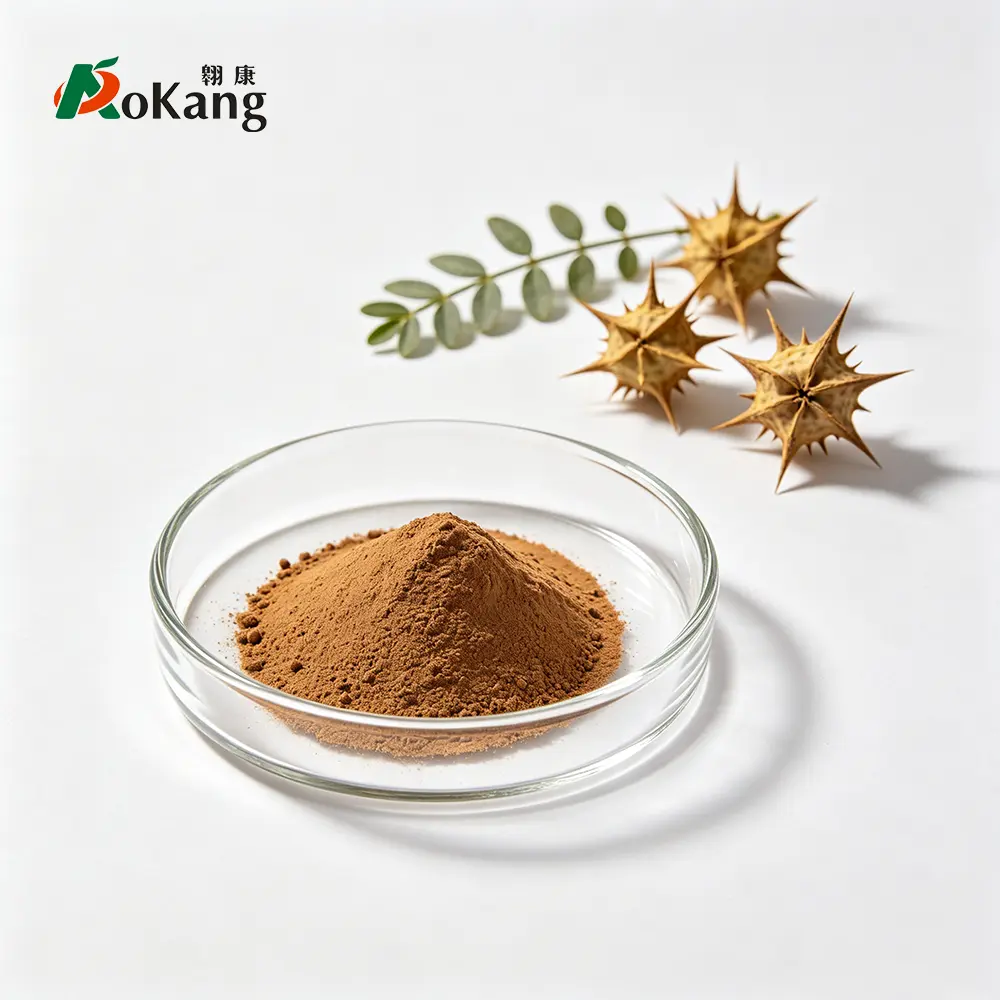Tribulus Terrestris Extract Powder